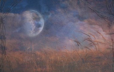 Dikenli telli pis bir tarla