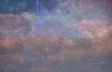 Ağır Dokulu Yıldırım Çarpması ve Tahıl Alanı