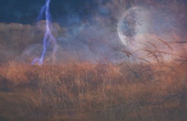 Ağır Dokulu Yıldırım Çarpması ve Tahıl Alanı