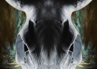 İnek kafatası. Bulutlu gökyüzü. 3B görüntüleme