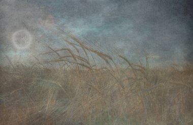 Grunge Pastel Tarlası. 3B görüntüleme