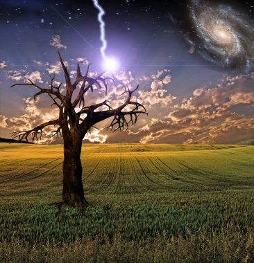 Gerçeküstü Günbatımı Sahası. 3B görüntüleme