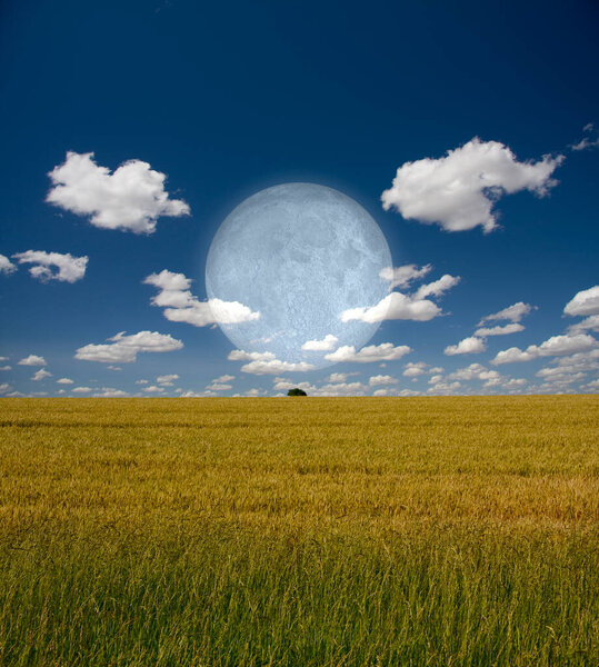 Moon over field. 3D rendering