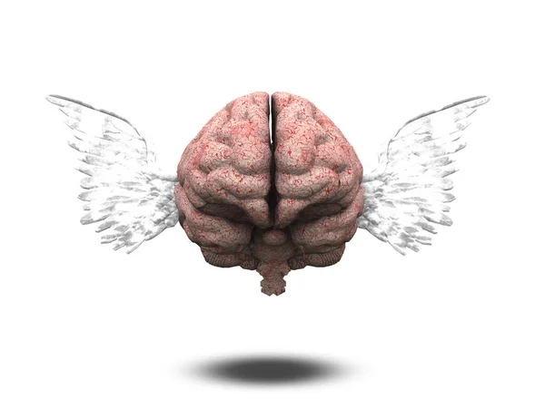 Human Brain Wings Rendering — Stock Photo, Image