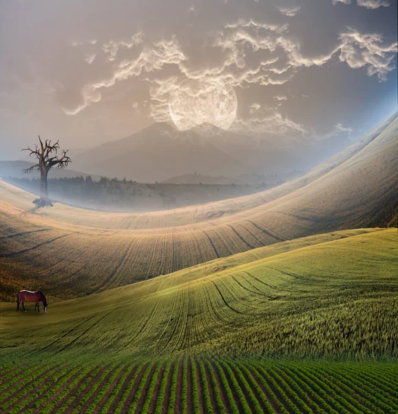 Peaceful Landscape Mountain Rendering — Stock Photo, Image