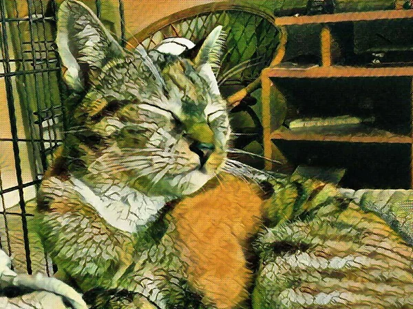 Modern Painting Domestic Cat Animal — 스톡 사진