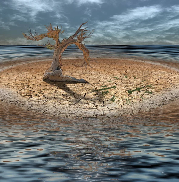 Desert Flood Île Avec Arbre Mort Horloge — Photo