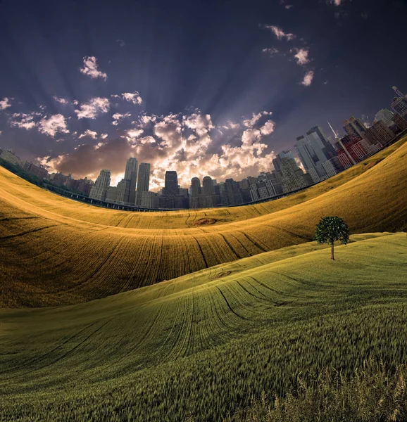 City Distance Meadow Green Tree — Foto Stock