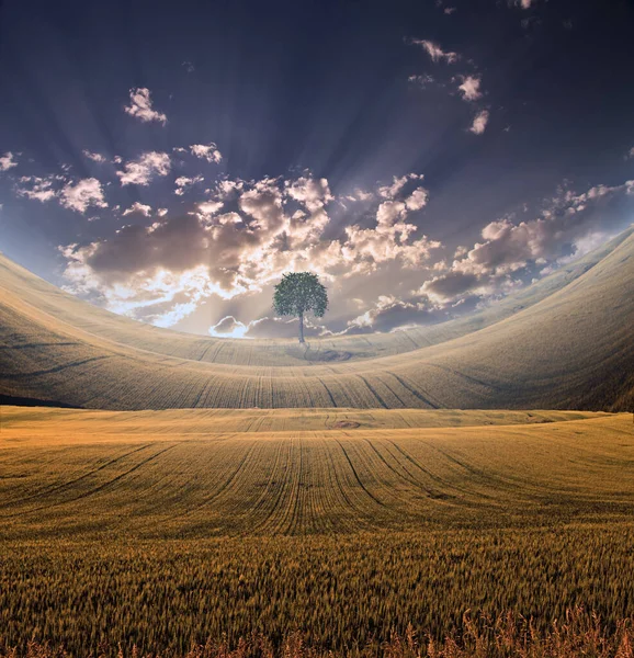 Paesaggio Sereno Con Cielo Drammatico — Foto Stock