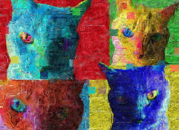 Kattenkop Verschillende Kleuren Weergave — Stockfoto