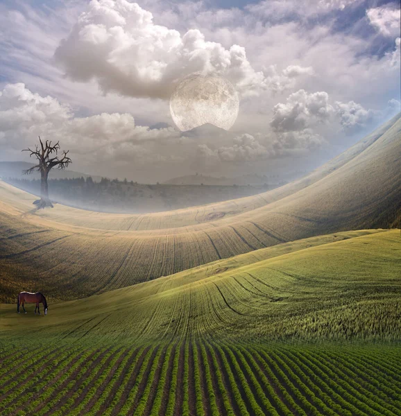 Vreedzaam Landschap Met Bergen Weergave — Stockfoto