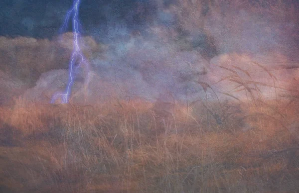 高度にテクスチャ化された落雷と穀物のフィールド — ストック写真
