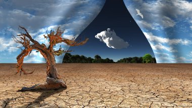 Çöl gökyüzü yeşilin ötesine açılıyor