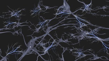 Elektriksel ateşlemeli beyin hücreleri