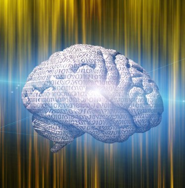 İkili beyin. 3B görüntüleme