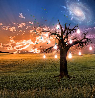 ağaç sunset veya gündoğumu parlayan ampul