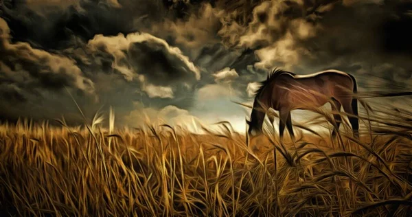 Olieverf Paarden Grazen Het Veld Zonnestralen Dramatische Wolken — Stockfoto
