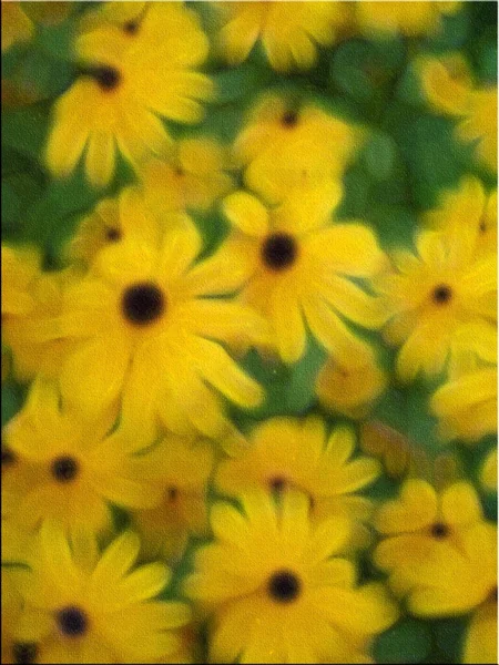 Malování Žluté Květy Vykreslování — Stock fotografie
