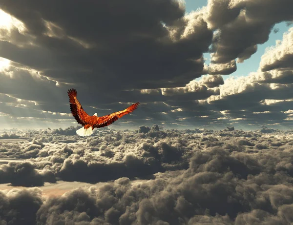 Águila Cielo Renderizado — Foto de Stock