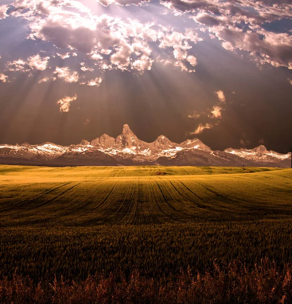 Soluppgång Över Fältet Rendering — Stockfoto