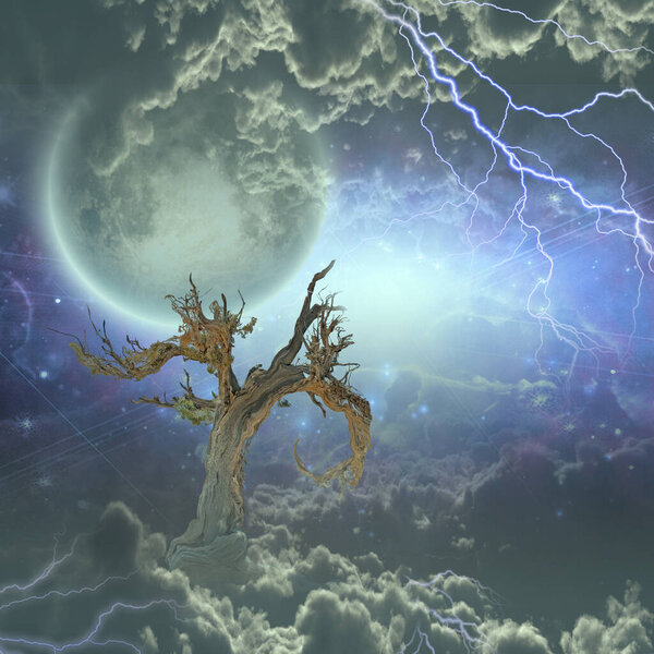 Tree under stars and clouds with energy all around