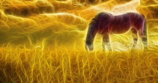 Horse Grazing Field Rendering — Stock Photo, Image