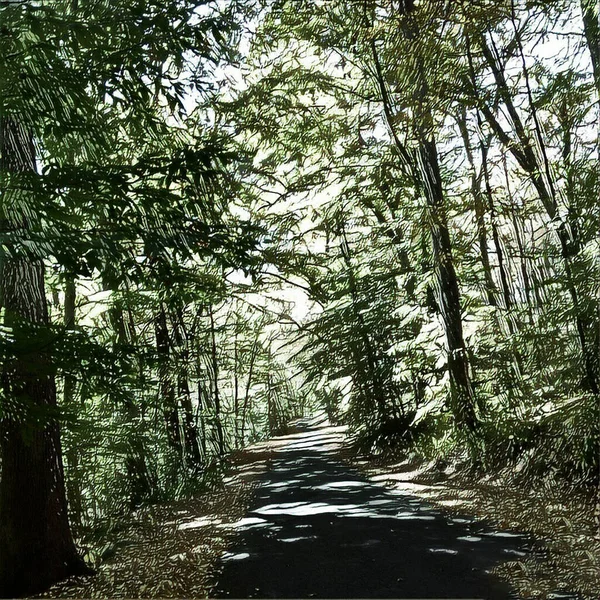 Yağlı Boya Sonbahar Ormanı Görüntüleme — Stok fotoğraf