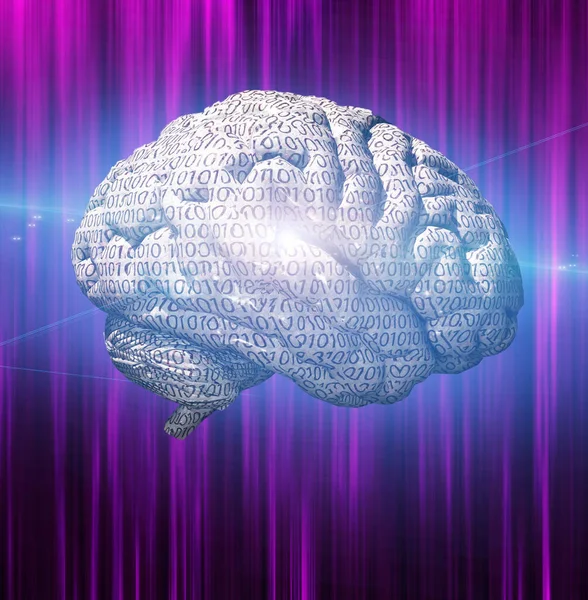 Cerebro Binario Renderizado —  Fotos de Stock