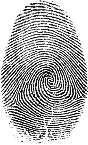Black Fingerprint White Background Rendering — Stock Photo, Image