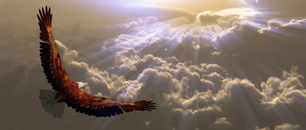 Eagle Flight Tyhe Clouds Rendering — Stock Photo, Image