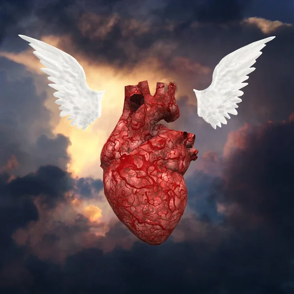 Wings Human Heart — Stock Photo, Image