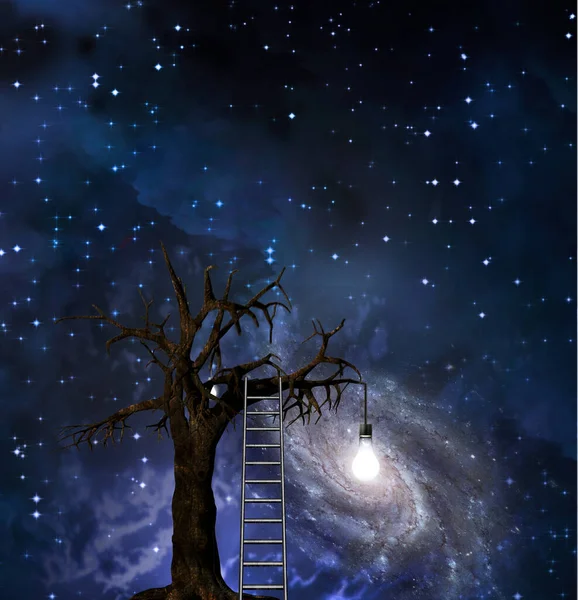 はしごは知恵の木にもたれる — ストック写真