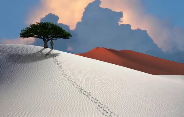 Weiße Wüste Grüne Bäume Figur Des Menschen Der Ferne — Stockfoto