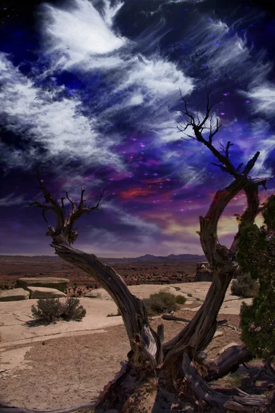 Desert Tree Horizon Renderização — Fotografia de Stock