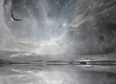 Gece Gökteki New Mexico Kartalı