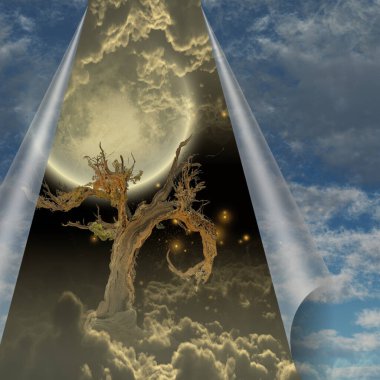 A hidden world revealed 3D rendering