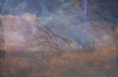 Ağır Dokulu Yıldırım Çarpması ve Tahıl Alanı