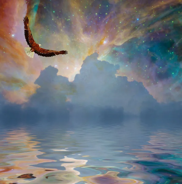 Kartal Yıldızların Altında Uçar — Stok fotoğraf