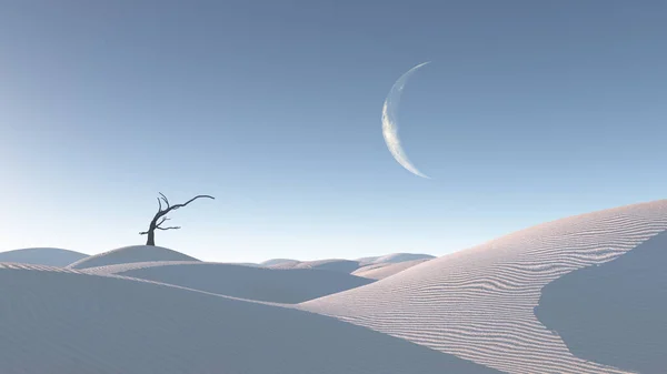 Árbol Marchito Paisaje Del Desierto Inspirado Zen — Foto de Stock