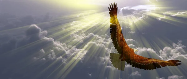 Eagle Flight Tyhe Clouds Rendering — Stock Photo, Image