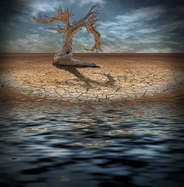 Desert Flood Och Träd Rendering — Stockfoto