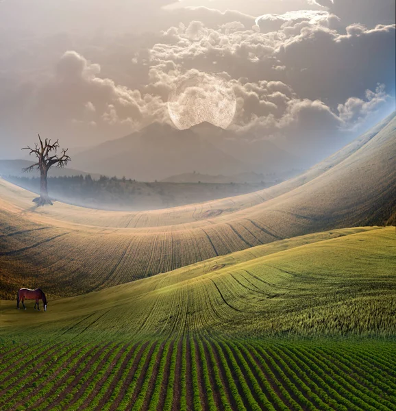 Peaceful Landscape Mountain Rendering — Stock Photo, Image