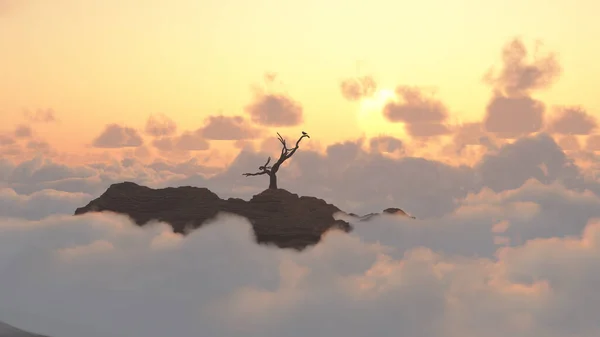 Mountain Sunrise Pássaro Ramo Seco — Fotografia de Stock