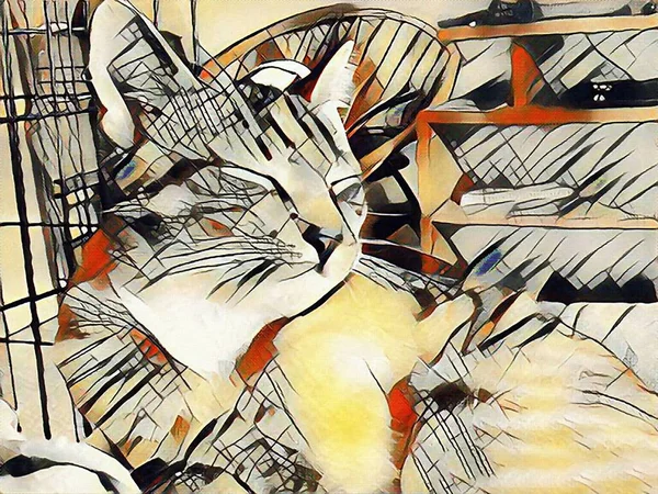 Modern Painting Domestic Cat Animal — Stock Fotó