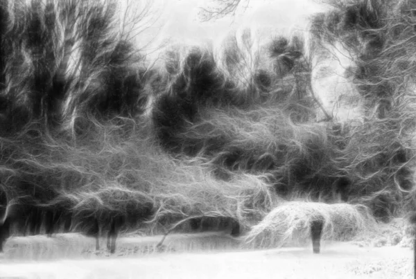 Краеведческий Ландшафт Деревьев Рендеринг — стоковое фото