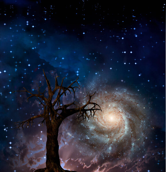 Surreal tree and galaxy. 3D rendering