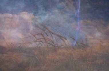 Ağır Dokulu Yıldırım Çarpması ve Tahıl Alanı