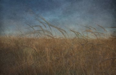 Grunge Pastel Tarlası. 3B görüntüleme