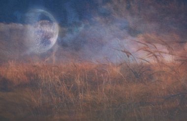 Ay, Tahıl Tarlasına Düşüyor