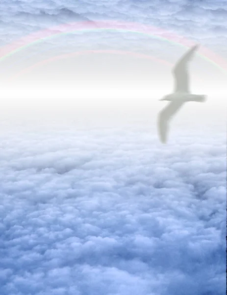 Oiseau Blanc Dans Les Nuages Rendu — Photo